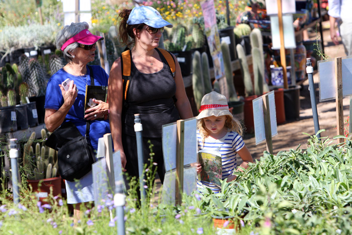 Tohono Chul Park fall plant sale